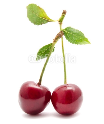 FotoliaComp_66707851_NBMkdfF6ykz7447u2B4HwMFGRXfut036_W95.jpeg